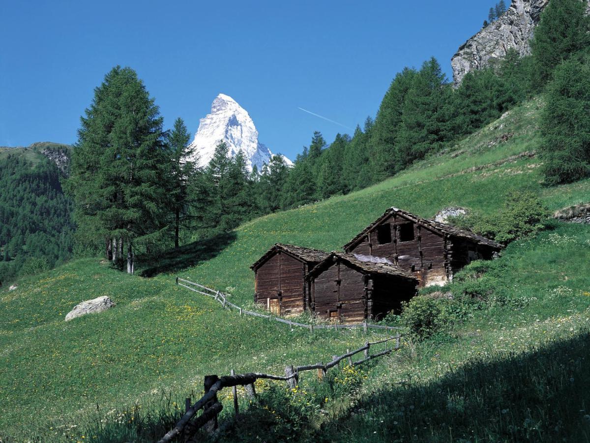 Apartment Bellevue-6 By Interhome Zermatt Zewnętrze zdjęcie