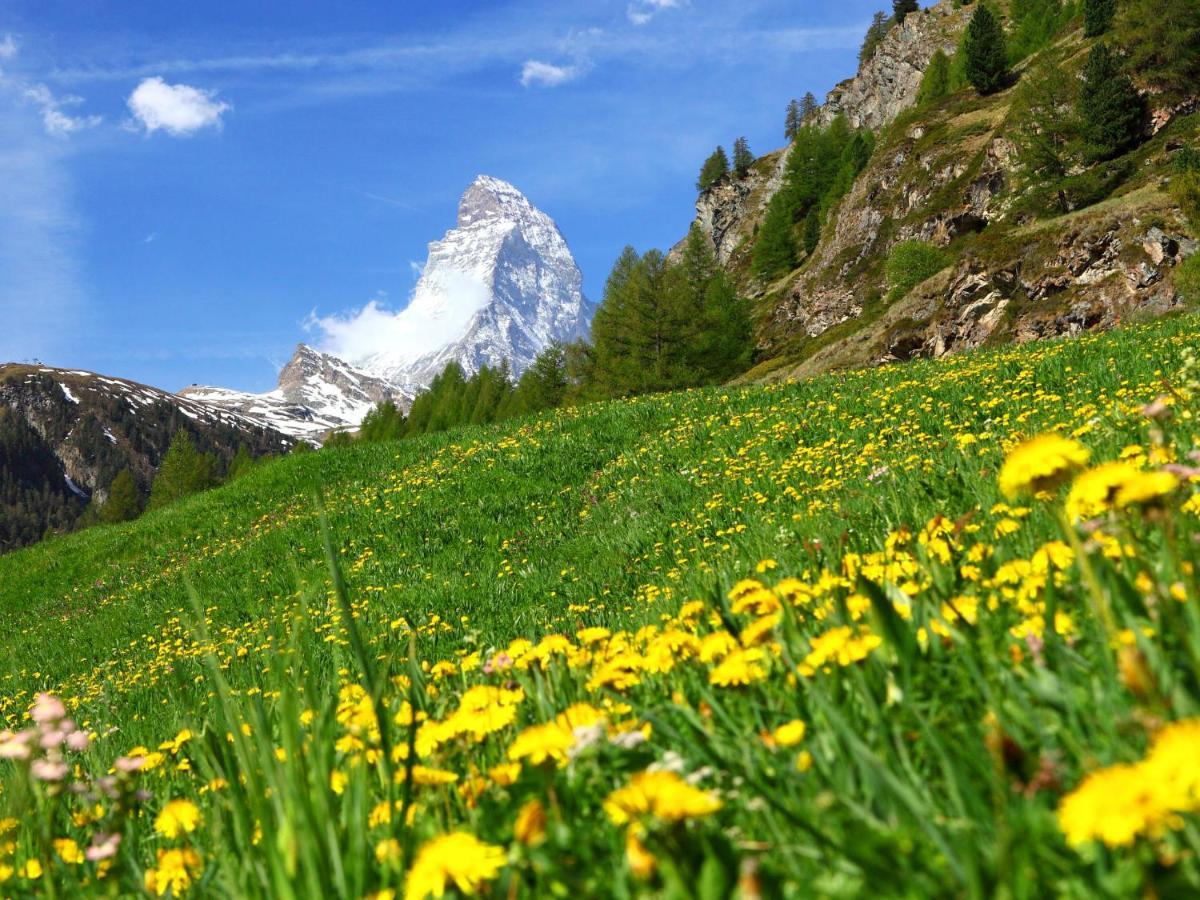 Apartment Bellevue-6 By Interhome Zermatt Zewnętrze zdjęcie